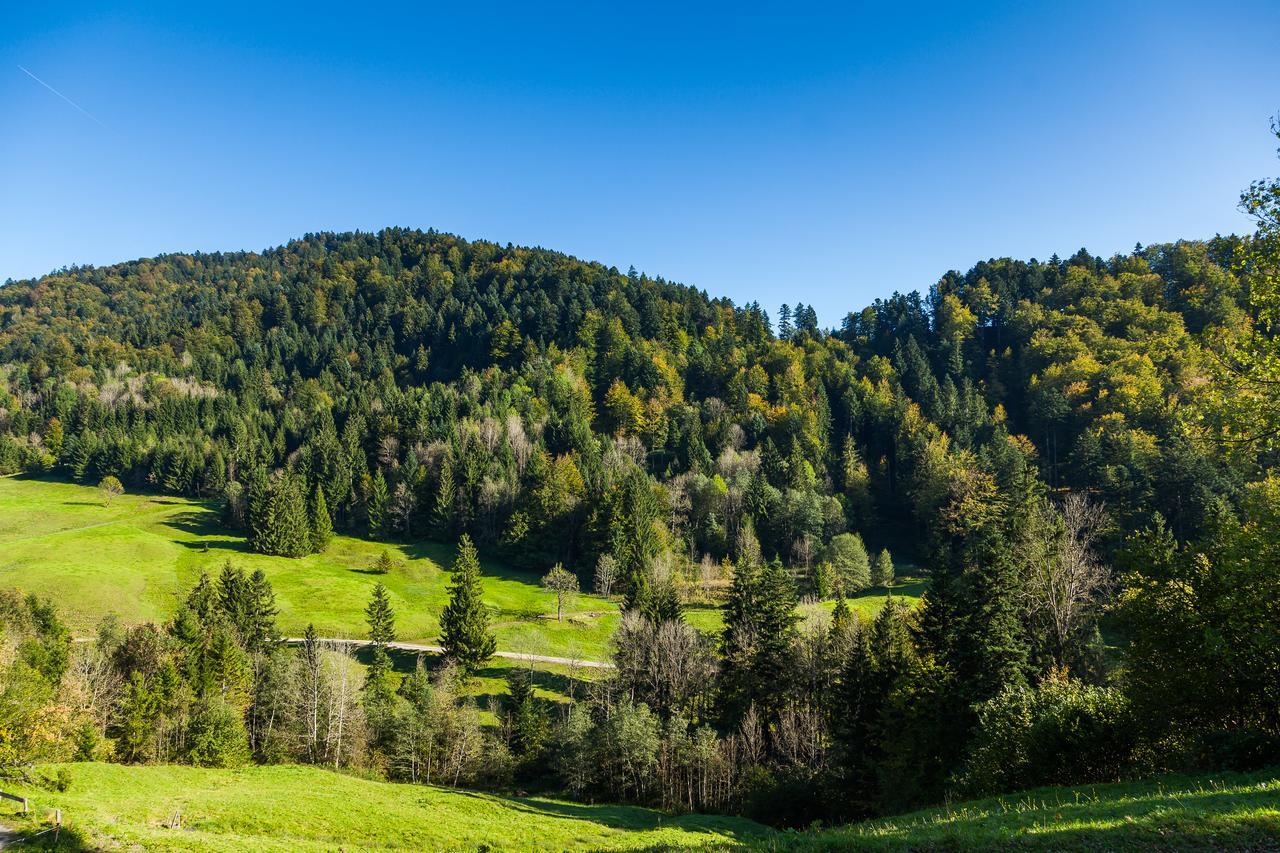 Hotel Bad Rain Mit Oberstaufen Plusgolf Екстериор снимка