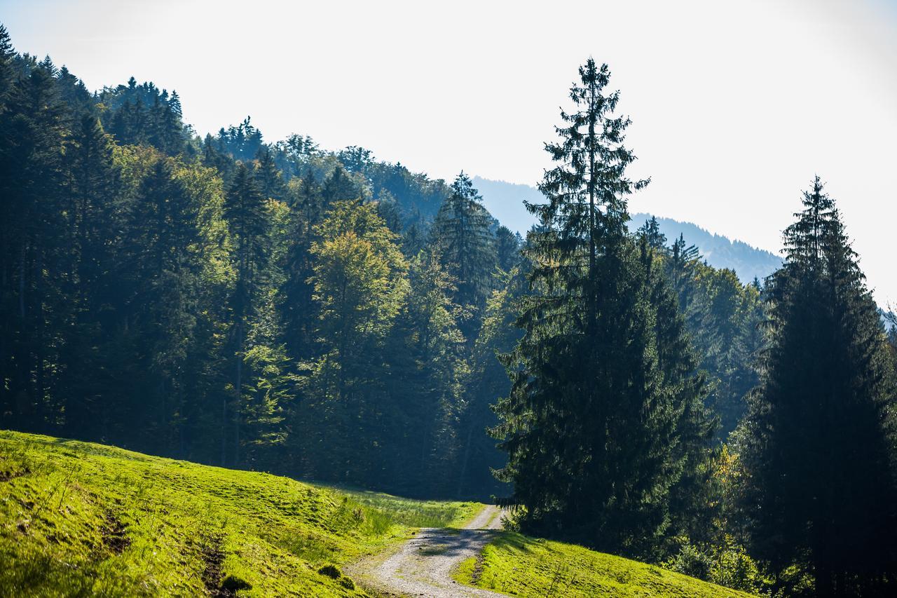 Hotel Bad Rain Mit Oberstaufen Plusgolf Екстериор снимка