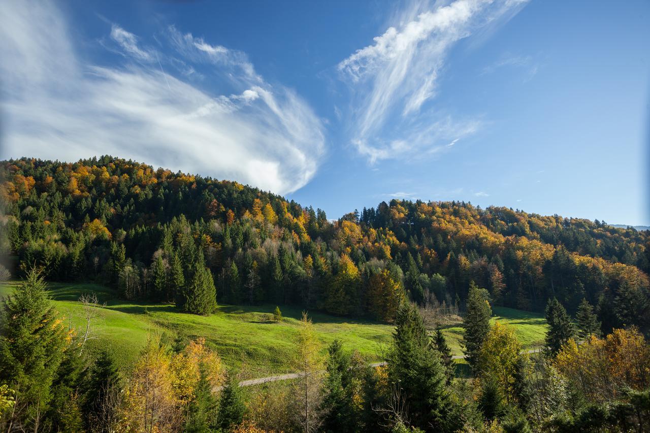 Hotel Bad Rain Mit Oberstaufen Plusgolf Екстериор снимка